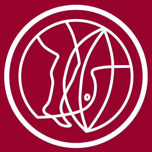 cropped-Icon.jpg